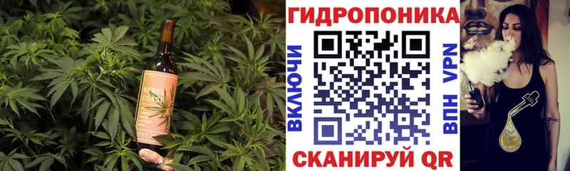 Cannafood марихуана  hydra как войти  Суздаль  наркотики 