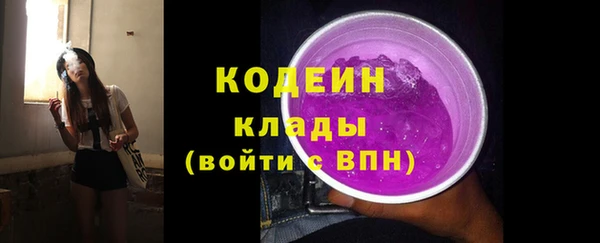 дурь Осташков