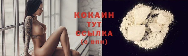 ALPHA PVP Осинники