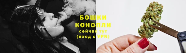 дурь Осташков