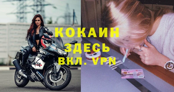 дурь Осташков