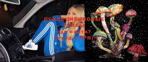 ALPHA PVP Осинники