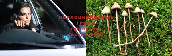 ALPHA PVP Осинники