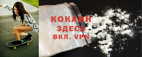 ALPHA PVP Осинники