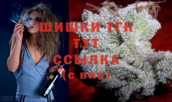дурь Осташков