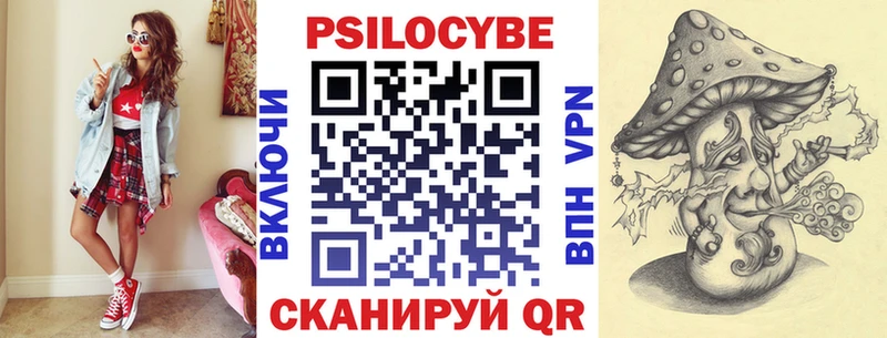 дарнет шоп  Суздаль  Псилоцибиновые грибы мицелий 